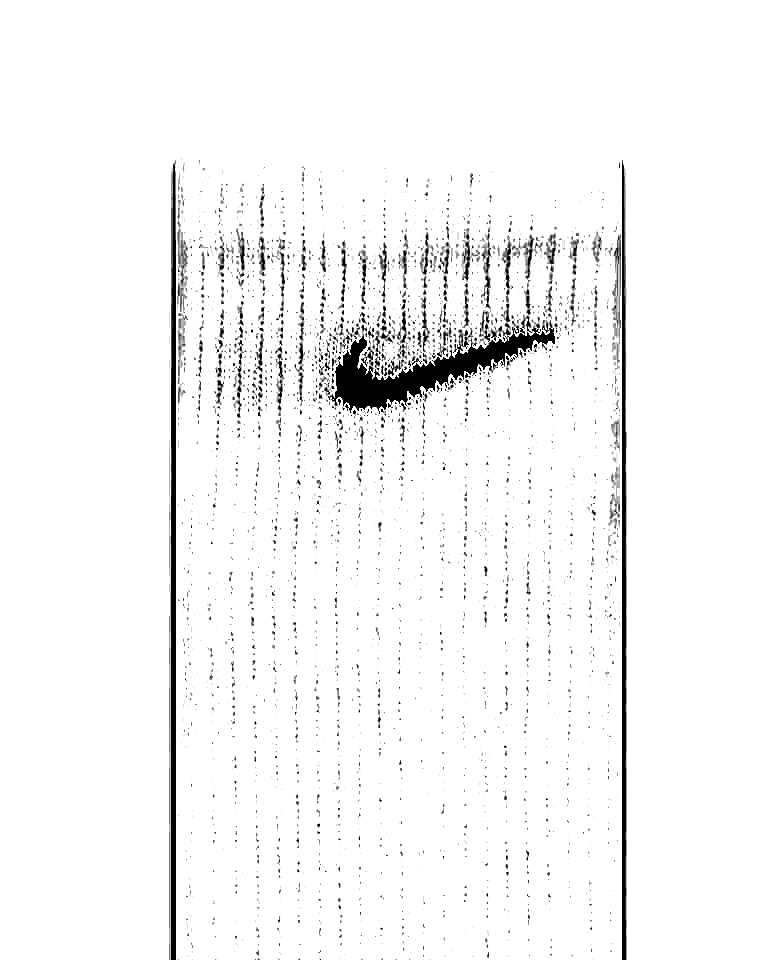 Nike Everyday Plus Cushioned Crew Unisex Beyaz Günlük Stil Çorap 6'Lı